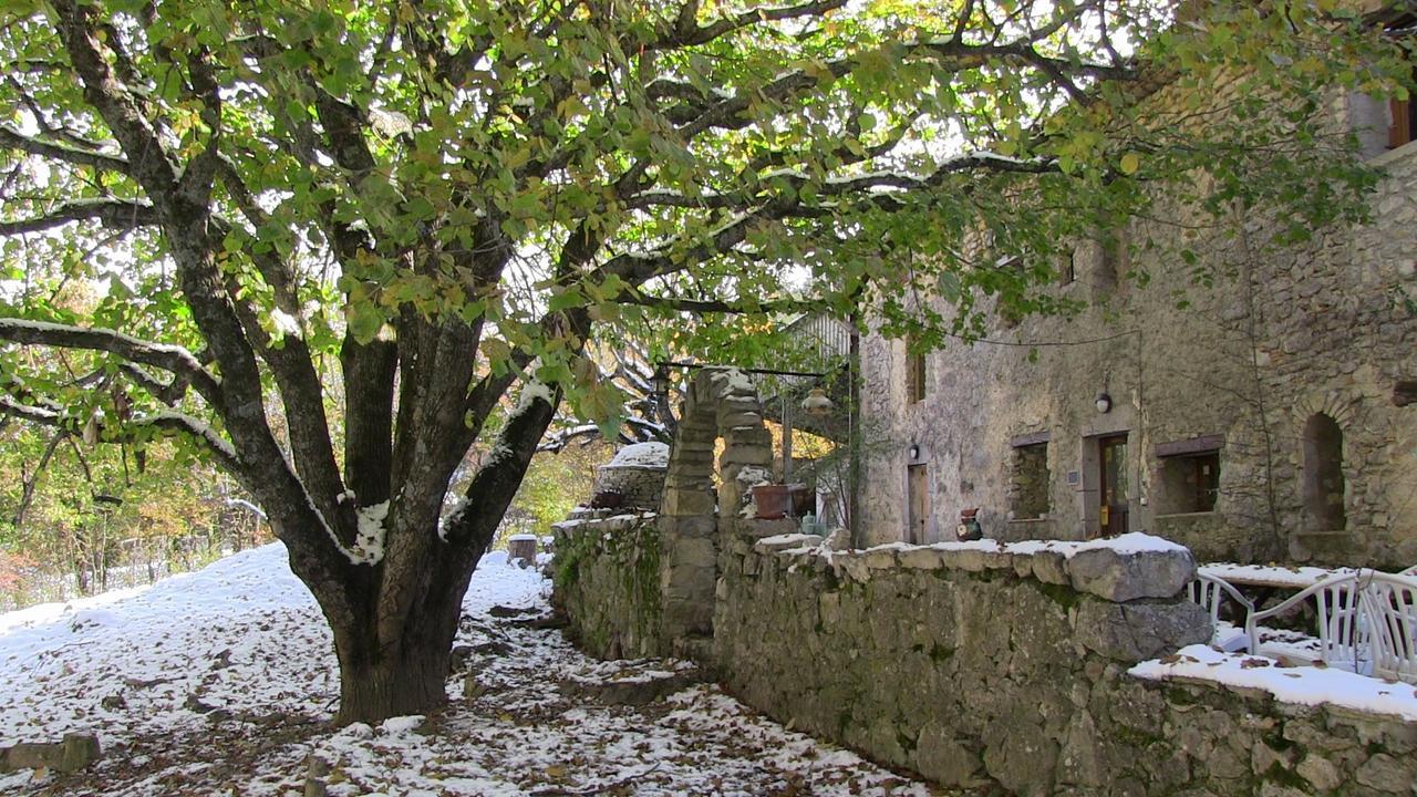 Danse L'Ombre Bed and Breakfast Curel Esterno foto
